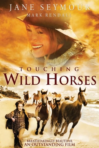 Poster of Touching Wild Horses