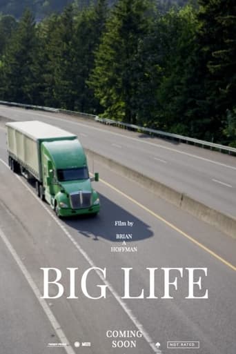 Poster of Big Life