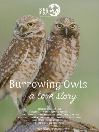 Poster of Burrowing Owls: A Love Story