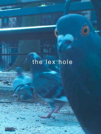 Poster of The Lex Hole