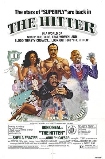 Poster of The Hitter