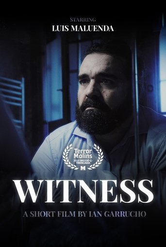 Poster of Witness