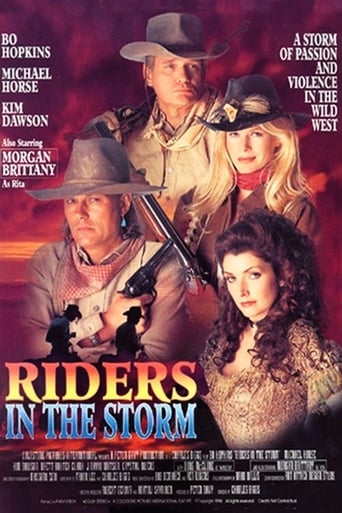 Poster of Riders in the Storm