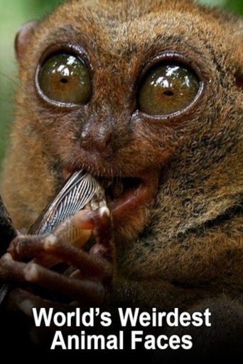World's Weirdest Animal Faces Poster of World's Weirdest Animal Faces