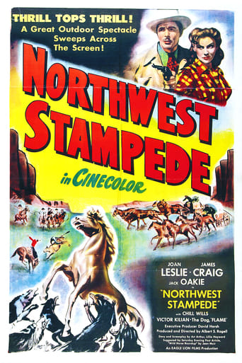 Poster of Northwest Stampede