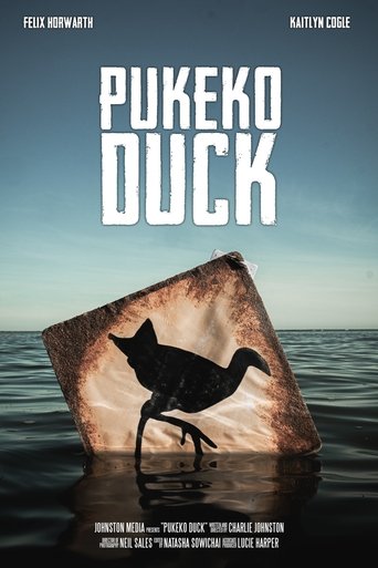 Pukeko Duck Poster of Pukeko Duck