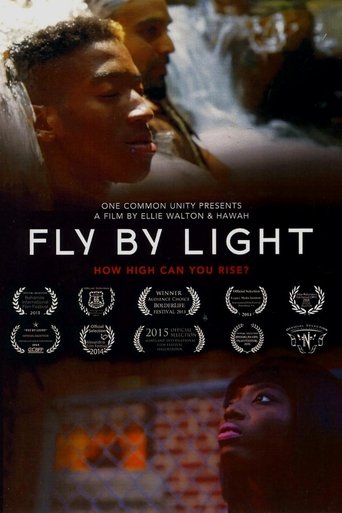 Fly by Light Poster of Fly by Light