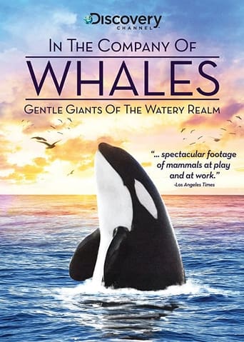 Poster of In the Company of Whales