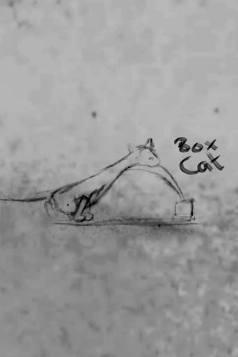 Poster of Box Cat