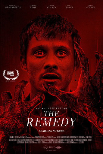 Poster of The Remedy