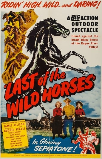 Poster of Last of the Wild Horses