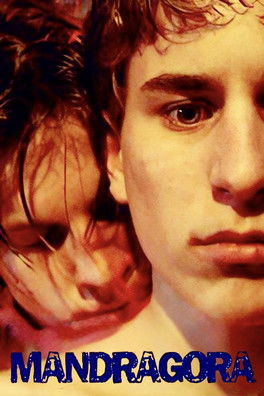 Poster of Mandragora