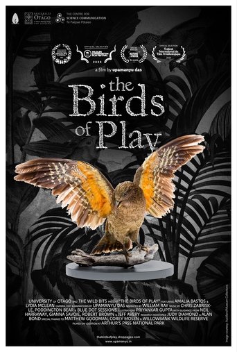 The Birds of Play Poster of The Birds of Play