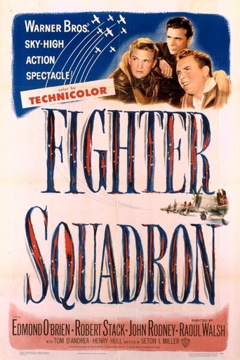 Fighter Squadron Poster of Fighter Squadron