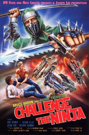 Poster of Challenge of the Ninja