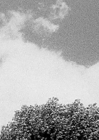 Tree & Cloud Poster of Tree & Cloud