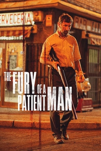 Poster of The Fury of a Patient Man