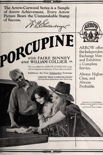 Poster of The Girl from Porcupine