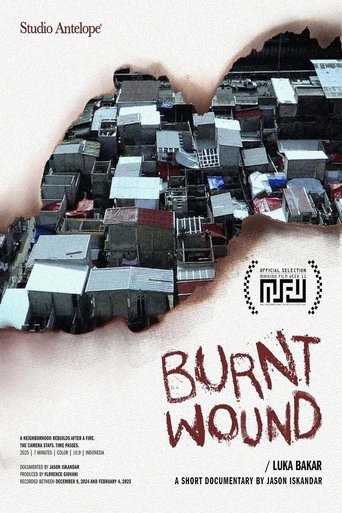 Poster of Burnt Wound