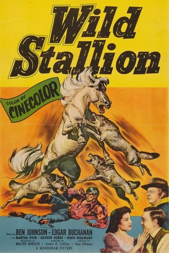 Wild Stallion Poster of Wild Stallion