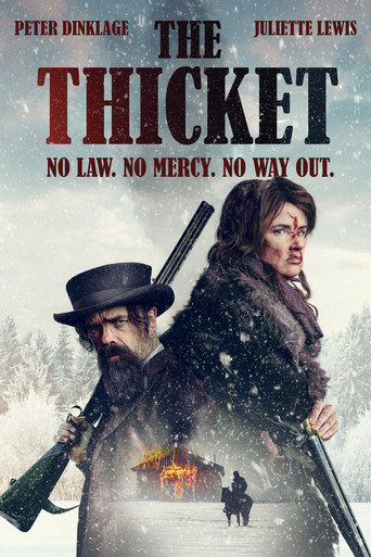 Poster of The Thicket