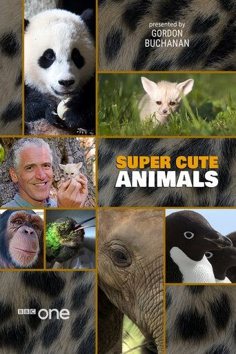 Super Cute Animals Poster of Super Cute Animals
