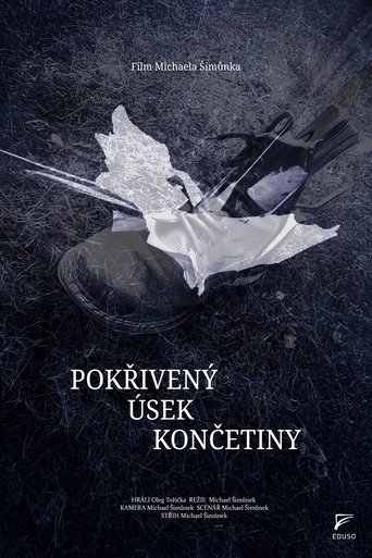 Poster of Pokřivený úsek končetiny