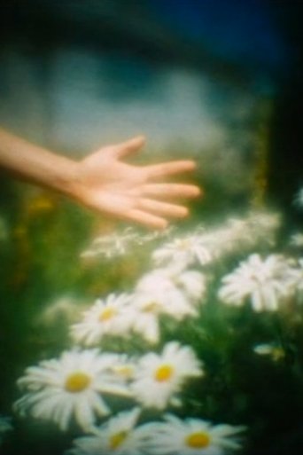 Poster of Camera Obscura