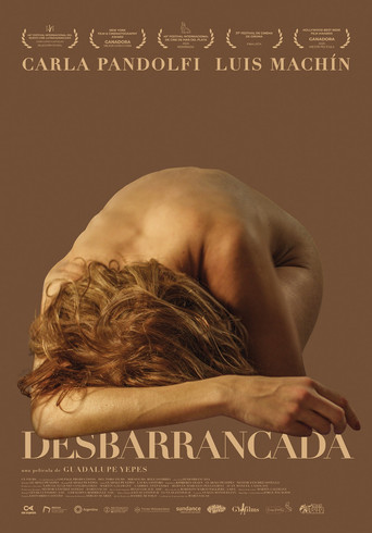Poster of Desbarrancada