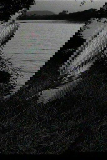 Poster of A Ship Aground