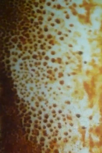 Untitled #1 (sun vision) Poster of Untitled #1 (sun vision)