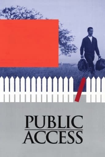 Poster of Public Access