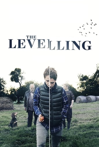 Poster of The Levelling