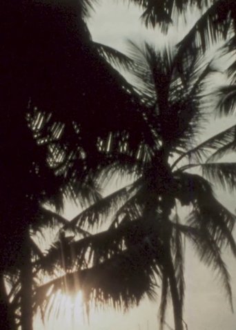 Land of Coconuts Poster of Land of Coconuts