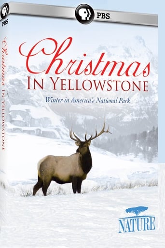 Poster of Christmas in Yellowstone