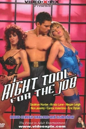 Poster of Right Tool For The Job