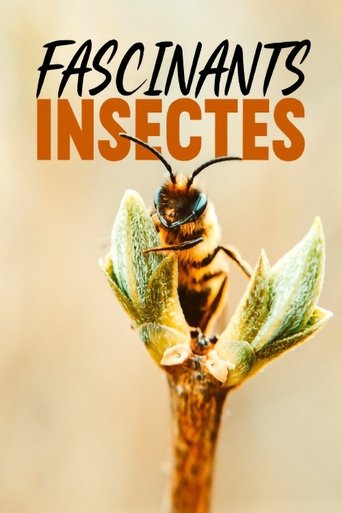 Fascinants insectes Poster of Fascinants insectes
