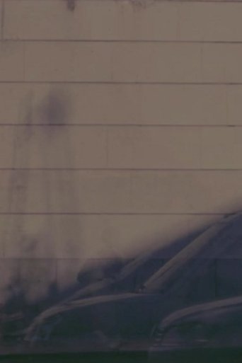 Poster of The Captured Light of an Instant