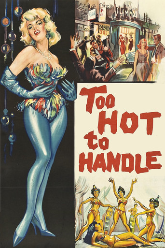 Poster of Too Hot to Handle