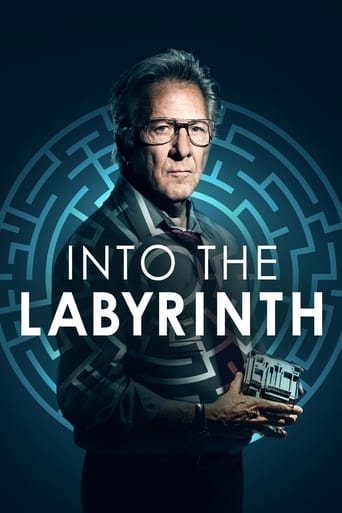 Poster of Into the Labyrinth