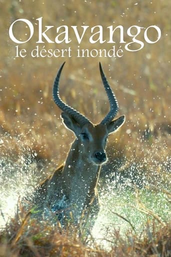 Poster of The Kalahari: The Flooded Desert