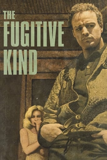 Poster of The Fugitive Kind