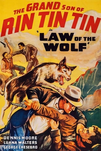 Poster of Law of the Wolf