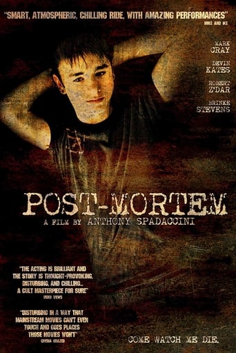 Poster of Post-Mortem