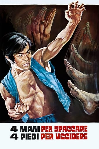 Poster of The Kung Fu Brothers