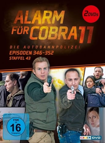 Portrait for Alarm for Cobra 11: The Motorway Police - Season 45