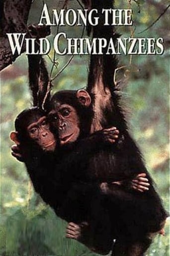 Poster of Among the Wild Chimpanzees