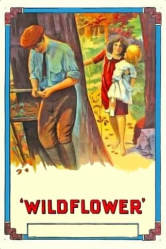 Poster of Wildflower