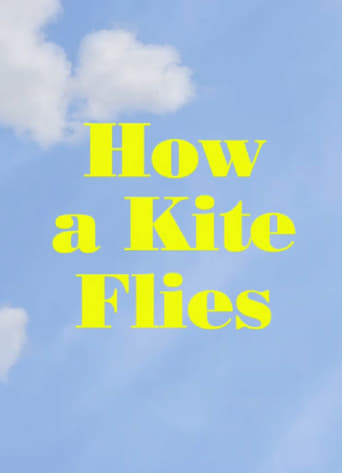 Poster of How a Kite Flies