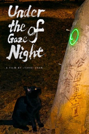 Poster of Under the Gaze of Night
